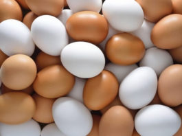 Лекарство у Вас в холодильнике! Удивительные полезные свойства обычного яйца