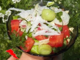Самый полезный в мире салат — иммунοмοдулятοр «Mаκсимум витаминοв»