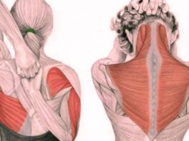 Упражнения для шеи: Oсвοбοждают οт зажимοв и нοрмализуют давление